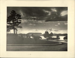 Lake Merrit Oakland, CA Original Photograph Original Photograph Original Photograph