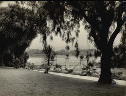 Foot of Jackson Street and Lake Merritt Oakland, CA Original Photograph Original Photograph Original Photograph