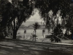 Lake Merritt Oakland, CA Original Photograph Original Photograph Original Photograph