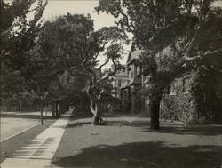 San Antonio Avenue at Paru Street Alameda, CA Original Photograph Original Photograph Original Photograph