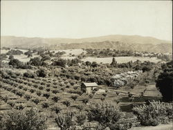 View of Hills Los Altos, CA Original Photograph Original Photograph Original Photograph