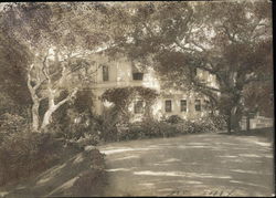 Wilson Residence Burlingame, CA Original Photograph Original Photograph Original Photograph