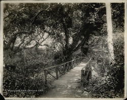 Mosswood Park Oakland, CA Original Photograph Original Photograph Original Photograph