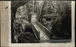 Walkway Through Mills College Oakland, CA Original Photograph Original Photograph Original Photograph