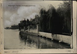 Lake Merritt Oakland, CA Original Photograph Original Photograph Original Photograph