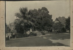 The Rockery Alameda, CA Original Photograph Original Photograph Original Photograph