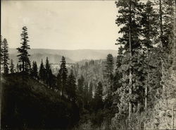 View Down Blue Canon California Original Photograph Original Photograph Original Photograph