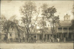 The Lion and Bee Hive Houses Original Photograph