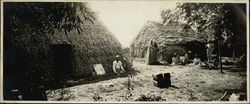 Native Huts Hawaii Original Photograph Original Photograph Original Photograph