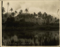 Coconut Grove Original Photograph