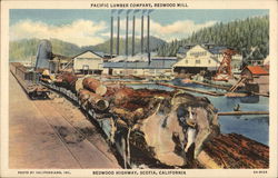 Pacific Lumber Comapny, Redwood Mill Postcard