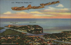 Tampa, Florida Postcard Postcard Postcard