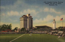 Baseball Spring Training - Boston Red Sox in Action, Sarasota, Fla. Postcard