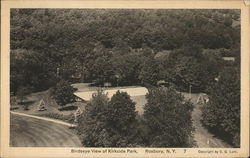 Birdseye View of Kirkside Park Roxbury, NY Postcard Postcard Postcard