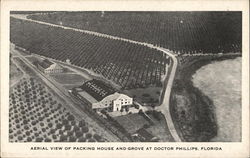 Aerial View of Packing House and Grove Doctor Phillips, FL Postcard Postcard Postcard