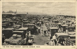 The New Fruit Market Postcard