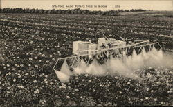 Spraying Maine Potato Field in Bloom Farming Postcard Postcard Postcard