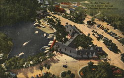 Air View of Florida's Silver Springs Postcard Postcard Postcard