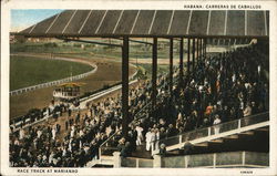 Race Track at Oriental Park Havana, Cuba Postcard Postcard Postcard