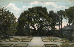 Powhatan Oak, Jamestown Exposition 1907 1907 Jamestown Exposition Postcard Postcard Postcard