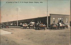 A Portion of the C.P. R. Freight Sheds Postcard