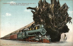 Comparative sizes of the Fallen Monarch big tree and a Southern Pacific passenger train. Postcard