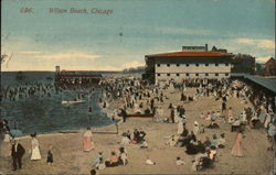 Wilson Beach Postcard