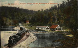 The Station at Natural Bridge Postcard