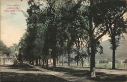 Cole Avenue, Looking East Postcard