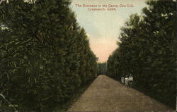 Entrance to the Camp, Cos. Cobb Postcard