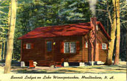 Senna's Lodges On Lake Winnipesauke Postcard