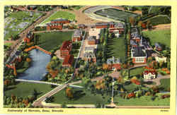 University Of Nevada Postcard