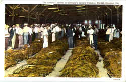 Scene At Georgia's Largest Tobacco Market Postcard