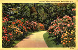 Beautiful Flower Garden Scene, Asbury Park Postcard