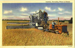 Combine Harvesting Wheat In Kansas Postcard