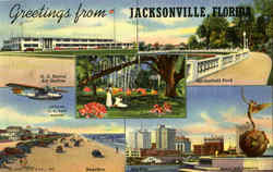 Greetings From Jacksonville Postcard