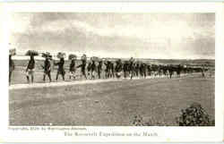 The Roosevelt Expedition On The March Postcard