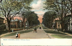 Looking Along Hillhouse Avenue New Haven, CT Postcard Postcard Postcard