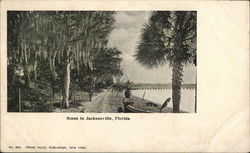 Scene in Jacksonville, Florida Postcard