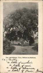 The Old Willow Tree Milton, NY Postcard Postcard Postcard