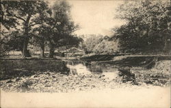 View of Mine Brook Postcard