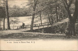 Scene in Bronx Park Postcard