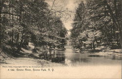 View of River, Bronx Park Postcard