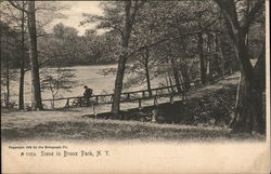 Scene in Bronx Park New York, NY Postcard Postcard Postcard