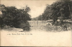 Bronx River Falls New York Postcard Postcard Postcard