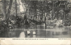 Swimming Pool, Seaton Falls Mount Vernon, NY Postcard Postcard Postcard