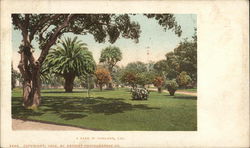 View of A Park Oakland, CA Postcard Postcard Postcard