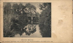 Bound Brook Wellfleet, MA Postcard Postcard Postcard