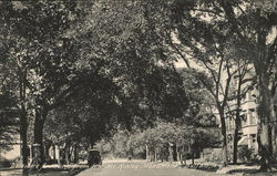 Delaware Avenue, From the McKinley Monument Buffalo, NY Postcard Postcard Postcard