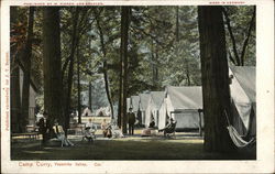 Camp Curry Yosemite Valley, CA Yosemite National Park Postcard Postcard Postcard